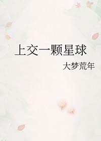 做她的猫